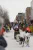 Sled dog race in Alta