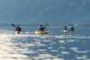 Together in Kayaks