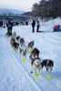 Restart Finnmarksløpet 