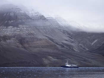 Day cruise in Billefjorden