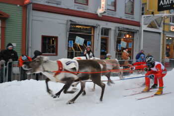 Reindeer racing