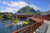 Summer day on Moskenes in Lofoten