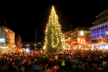 Christmas trees in Tromsø