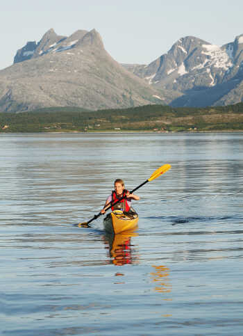 Kayak in Saltenfjorden