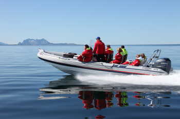 RIB boat tour to Saltstraumen