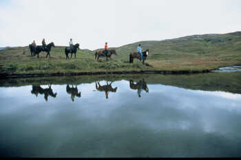 Horses riding Soløyvannet