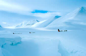Dog sledding at Svalbard