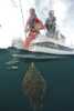 Halibut catch