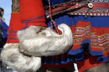 traditional Sami clothing