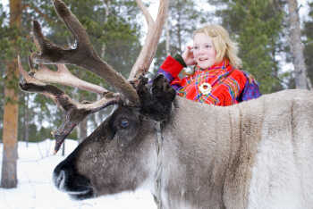 Sami girl and Reindeer