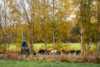 Dogs and activities in Pasvik