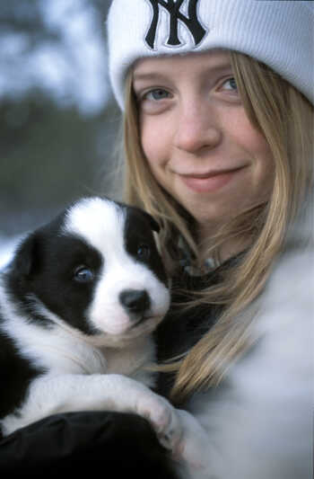 Girl with husky puppy