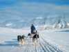 Dog sledding at Svalbard