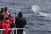 Whale blowing