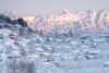 Winter landscape
