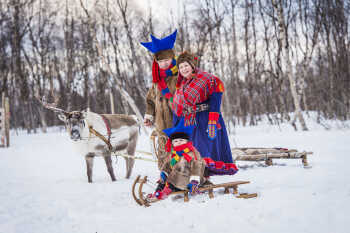 Reindeer and sledge