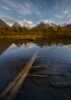Lyngen