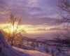 Winter nature 