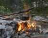 Fire in the Wilderness