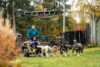 Dogs and activities in Pasvik