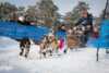 Finnmarksløpet