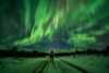 Northern lights