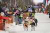 World's northernmost sled dog race