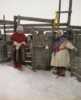 Reindeer hearding