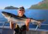Big fish at Lauklines