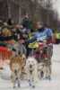 World's northernmost sled dog race