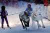 Reindeer racing