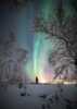 Northern Light on Senja
