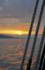 The world's oldest schooner